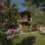 Chakra Kabak Faralya
