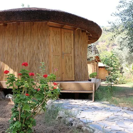 Chakra Kabak Faralya