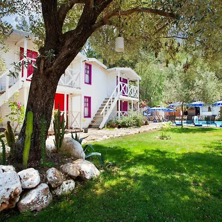 Chakra Kabak Inn Faralya