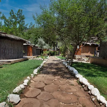 Chakra Kabak Faralya