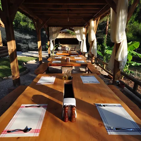 Chakra Kabak 3* Faralya