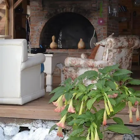 Chakra Kabak 3* Faralya