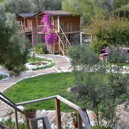 Chakra Kabak Inn Faralya