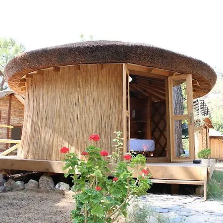 Chakra Kabak Inn