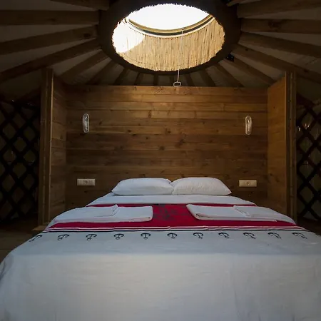 Han Chakra Kabak Faralya