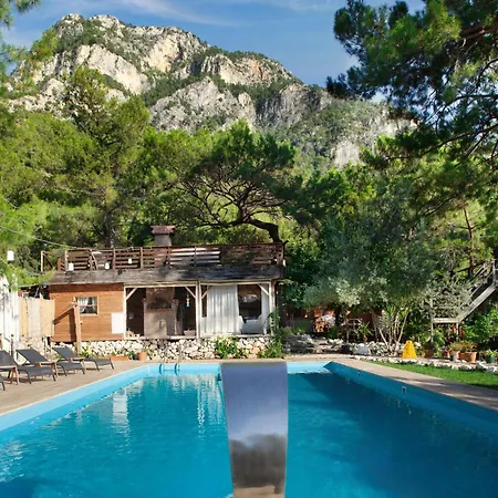 Inn Chakra Kabak Faralya