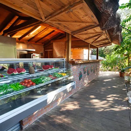 Chakra Kabak 3* Faralya