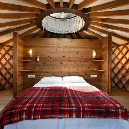 Inn Chakra Kabak Faralya