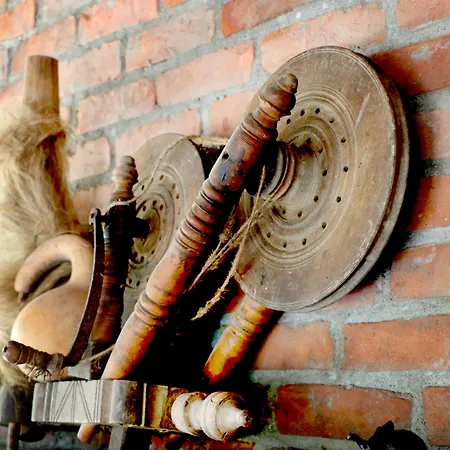 Chakra Kabak Faralya