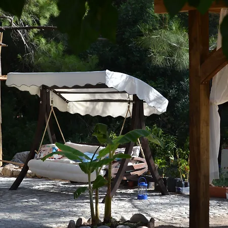 Han Chakra Kabak Faralya