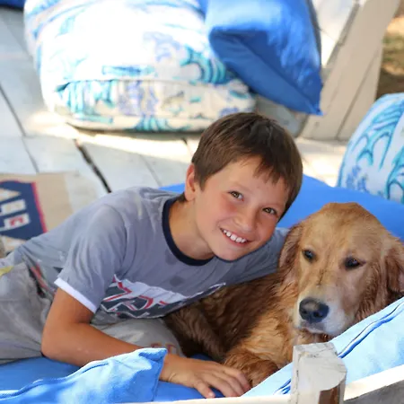 Han Chakra Kabak Faralya