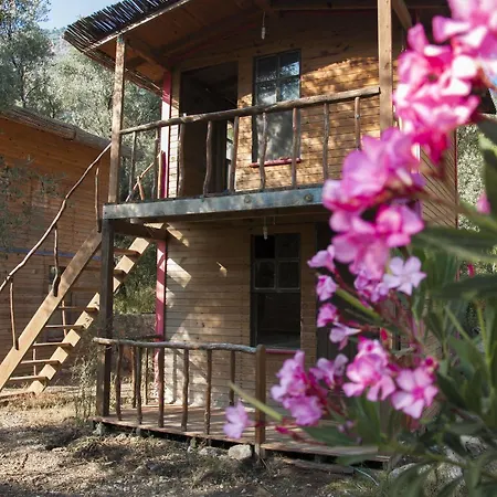 Inn Chakra Kabak Faralya