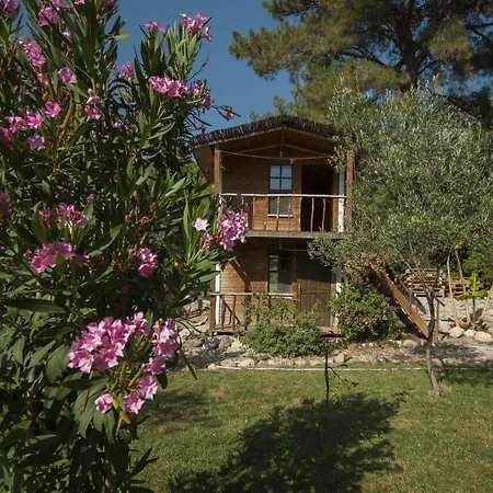 Chakra Kabak Inn